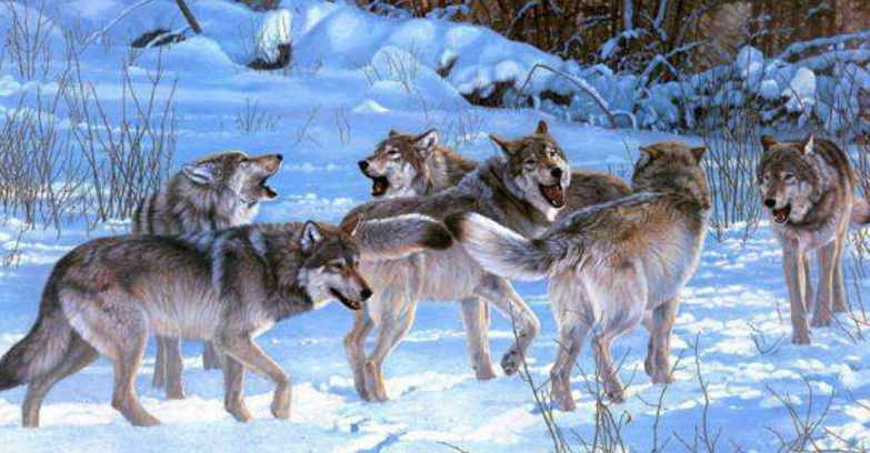 華為管理文化的兩個關(guān)鍵詞：簡單、狼狽為奸